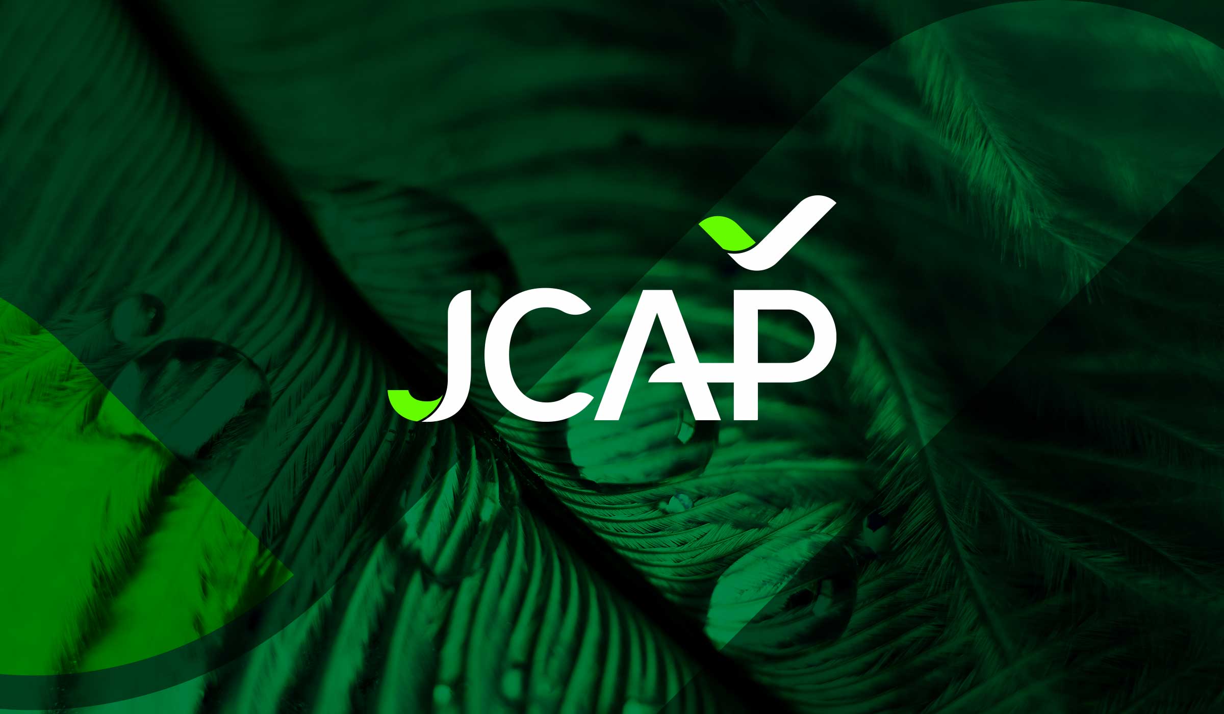JCAP logo